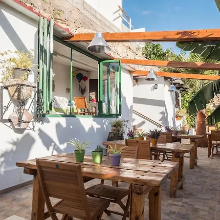 Casa Cardón - Perenquén *