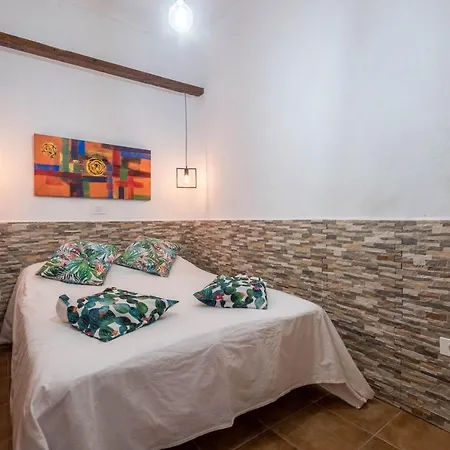 Casa Cardón - Perenquén *
