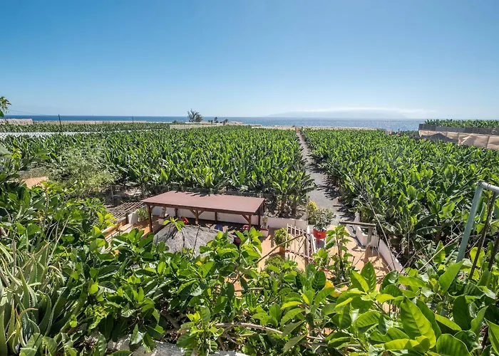 Casa Cardon - Perenquen Ferienhaus Guía de Isora